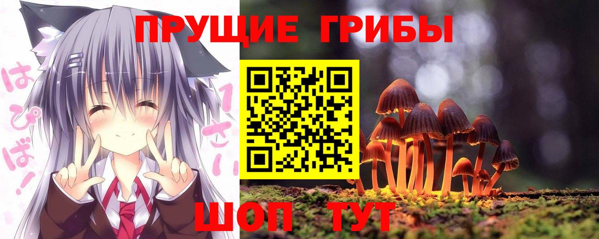 хочу   Вход с VPN  Карасук  Псилоцибиновые грибы мицелий 